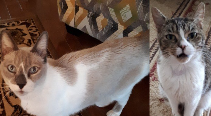 Updates on Mushie & Shandi aka Polly