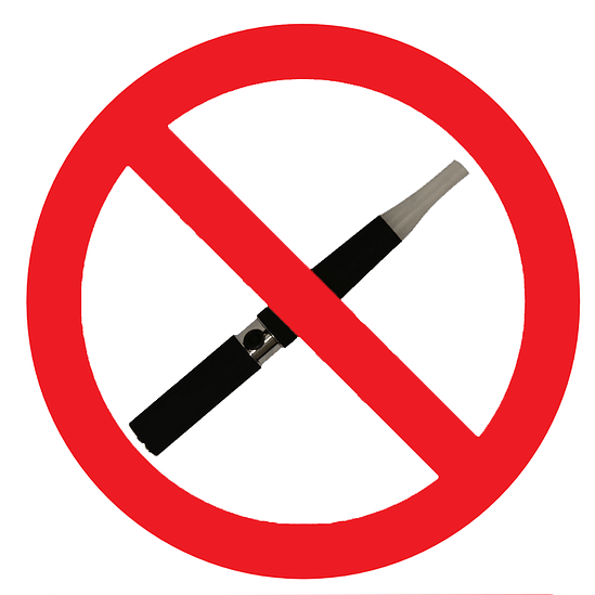 E-Cigarettes and Cats