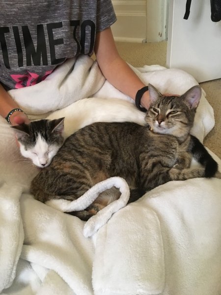 Updates on Jorga aka Ivory & Maggie aka Willow