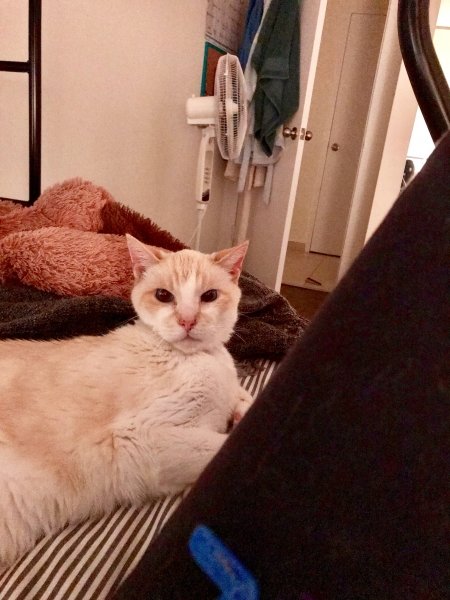 Updates on Benson
