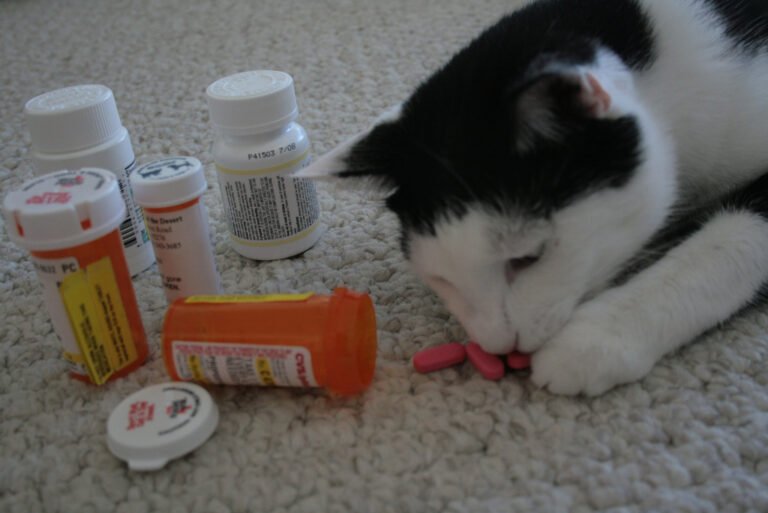 When Pills Pose a Problem