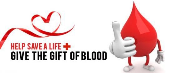 Cats As Blood Donors