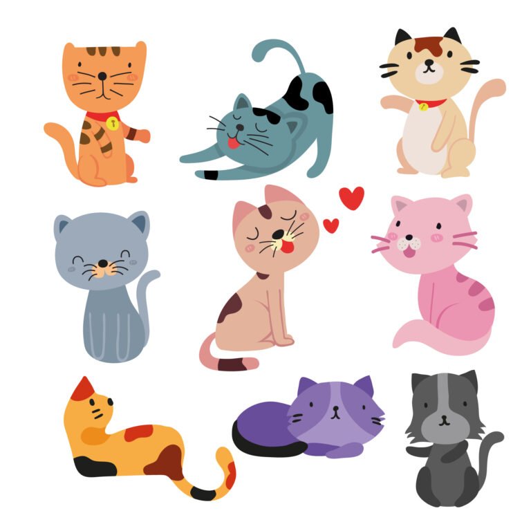 Cats, Coats and Colors