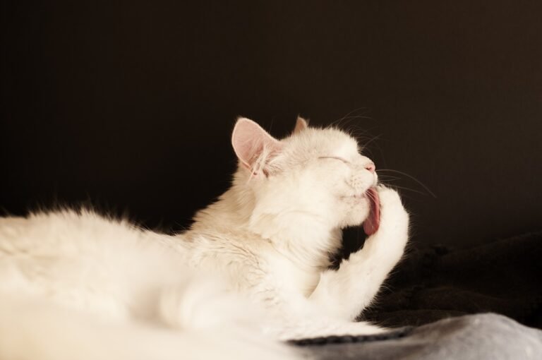Grooming Self-Groomers