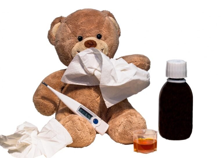 Colds in Cats