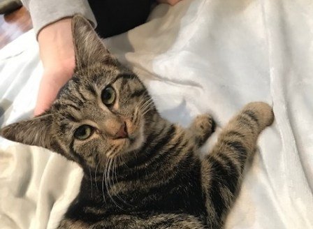 Updates on Beatrice