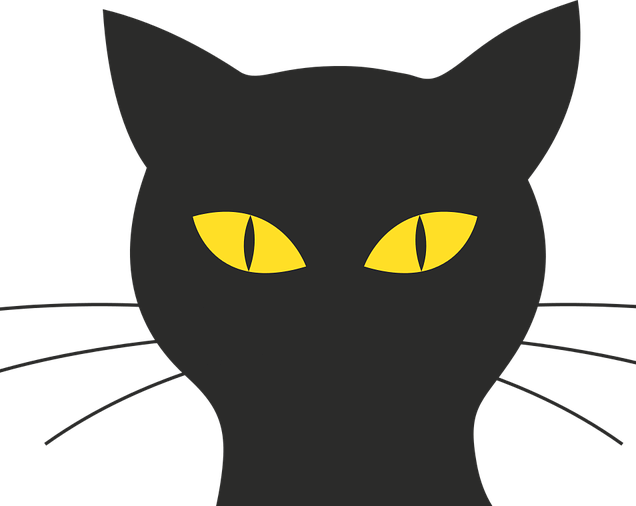 10 Brightest Cat Breeds