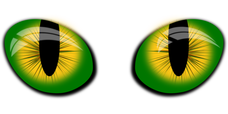Cats and Cataracts