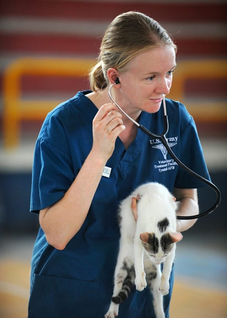 Tips for “Tearless” Vet Visits