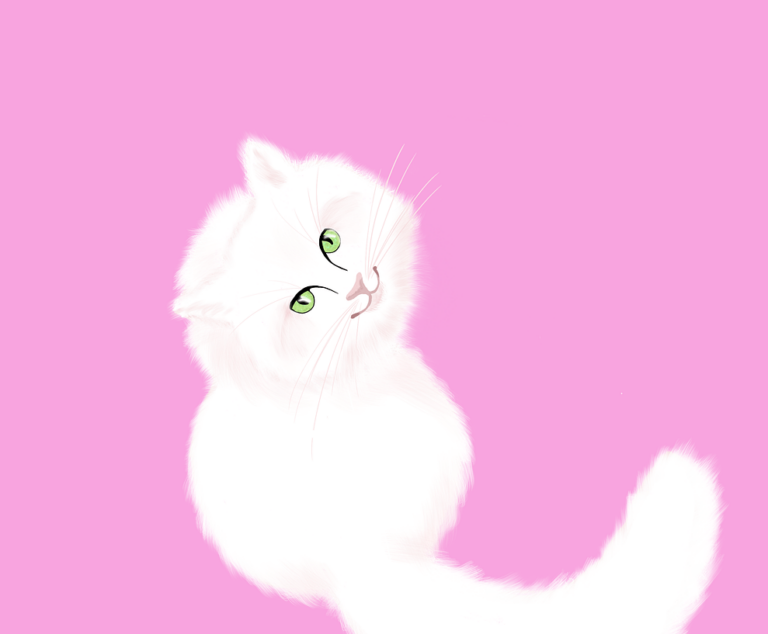 Pussycats and Purrs
