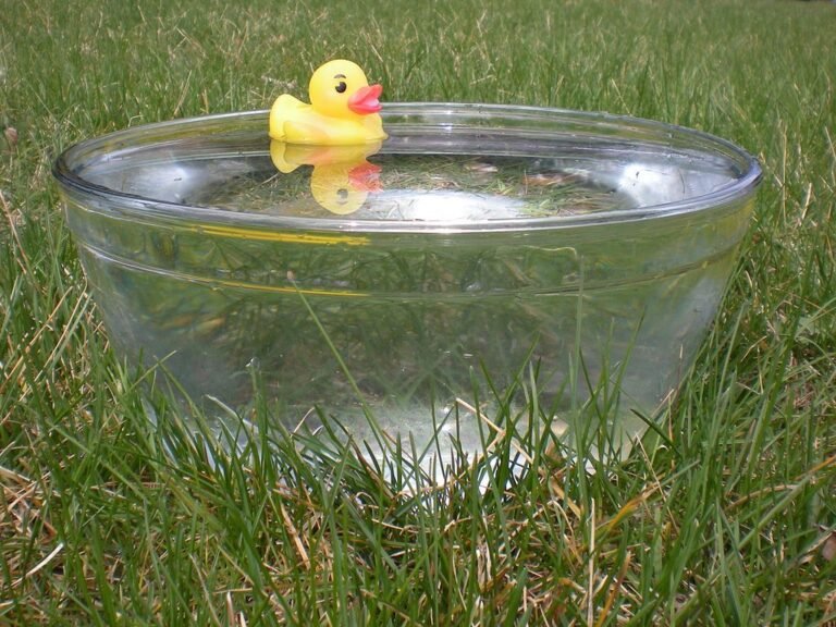 Why Do Cats Put Toys in Their Bowls?