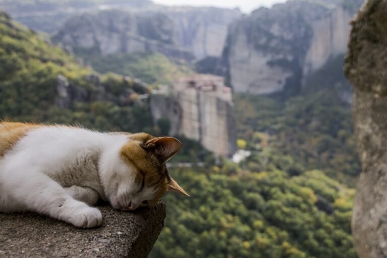 The Hazards of Heights