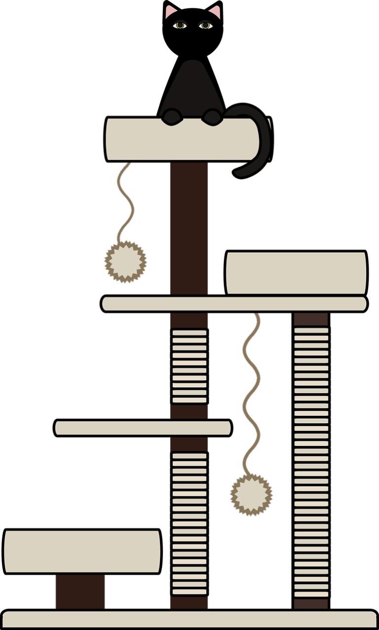 6 Reasons to Have a Cat Tree