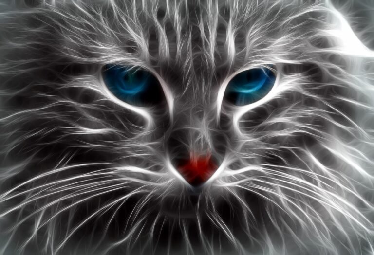 Cats and Whiskers