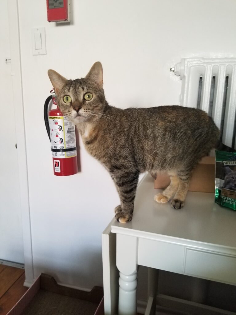 Updates on Francine
