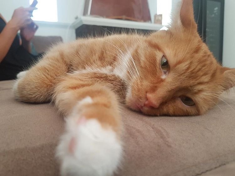 Updates on Jilly