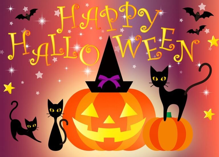 A Cat Safe Halloween is a Happy Halloween