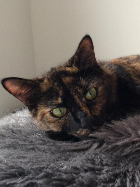 Updates on Olivia aka Olive