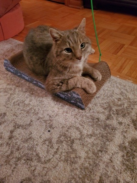 Updates on Romeo