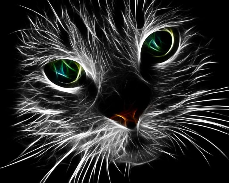 Hyperesthesia in Cats