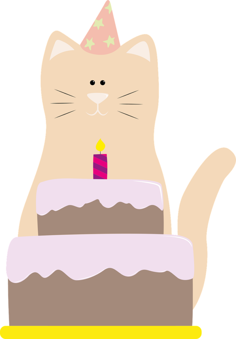 7 Simple Ways to Celebrate Kitty’s Birthday