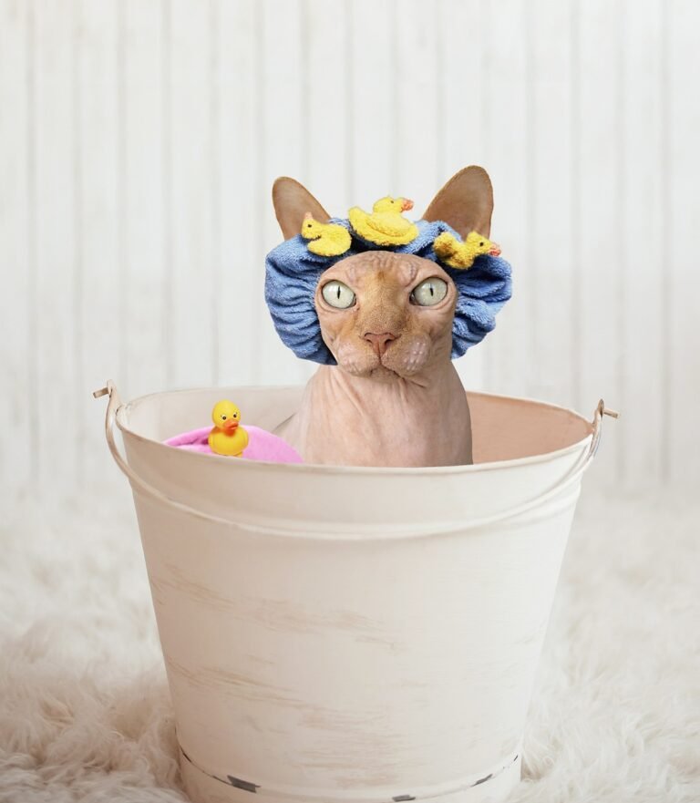 Why Do Cats Hate Water?