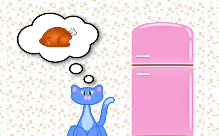 Food Issues and Felines