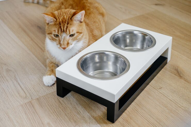 The Benefits of Elevated Cat Bowls