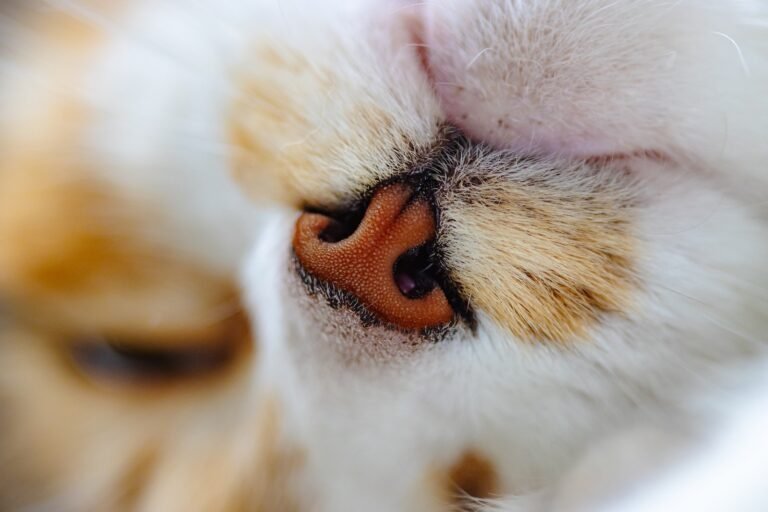 The Nose Knows