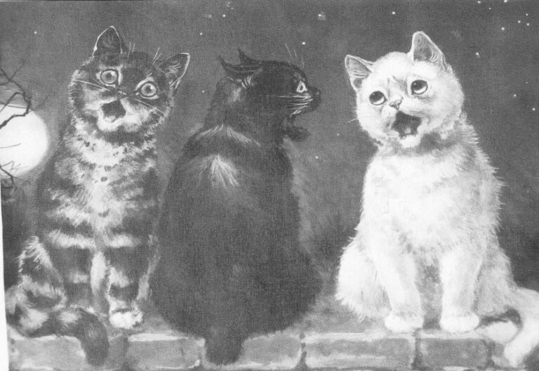Caterwauling and Cats