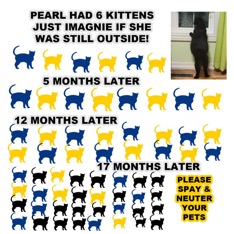 FEBRUARY IS SPAY/NEUTER MONTH! DO YOUR PART!