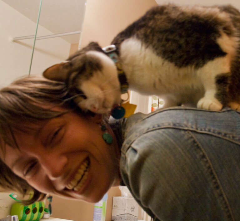 Kitties and Headbutts