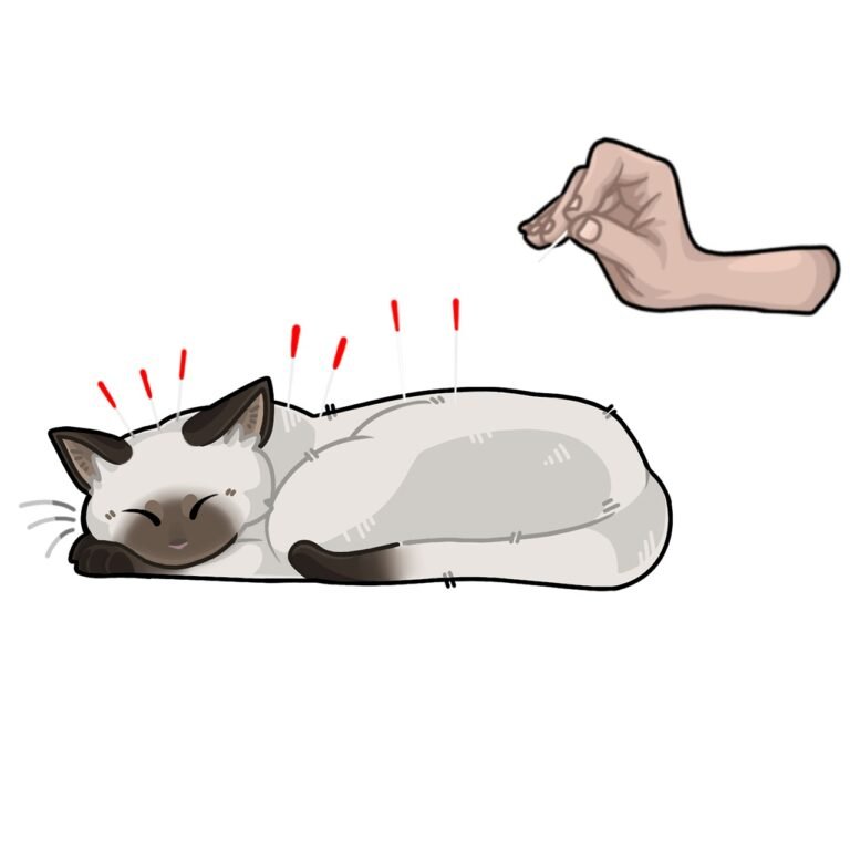 Acupuncture for Cats