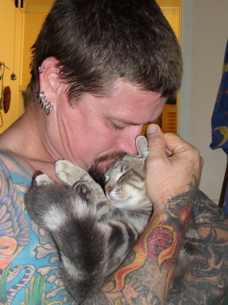 JUNE Is National Adopt A Cat Month