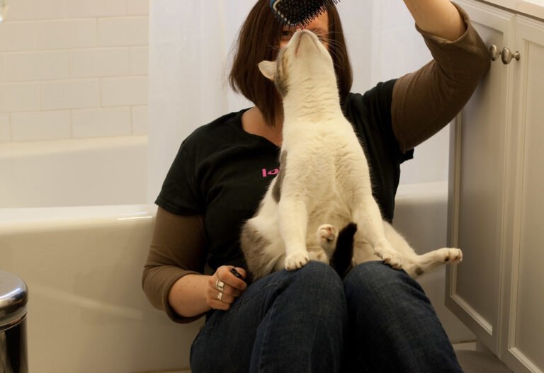 Does Your Cat Follow YOU Into the Bathroom?