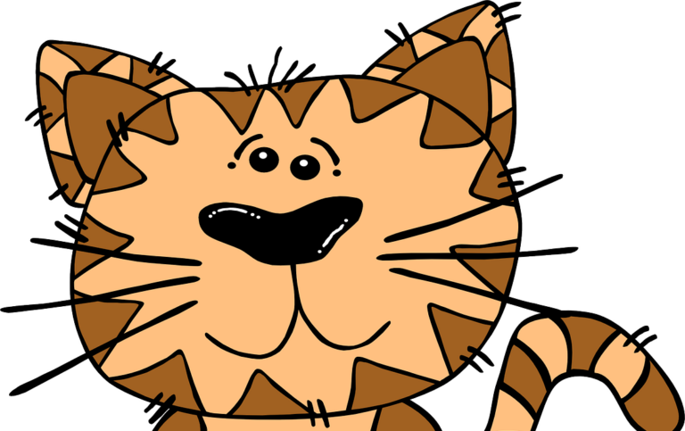 cat, pet, animal