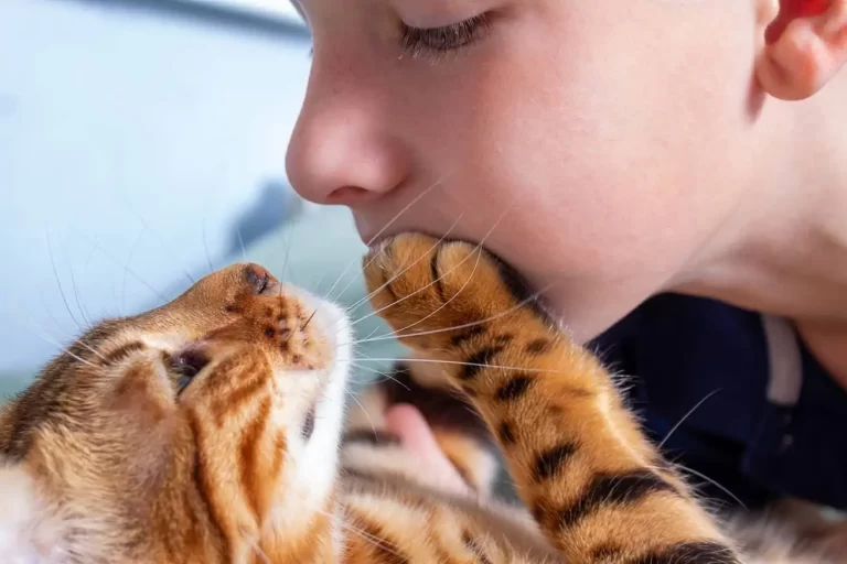 Why Cats Put Their Paw on Your Mouth?