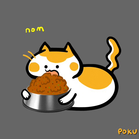 Mixing Wet and Dry Food for Finicky Felines