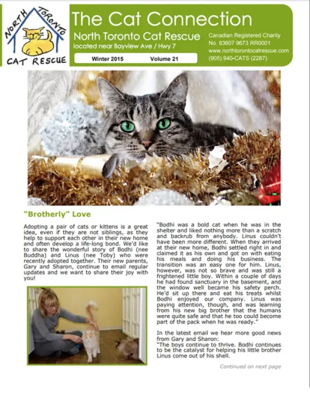 2015 Winter Newsletter