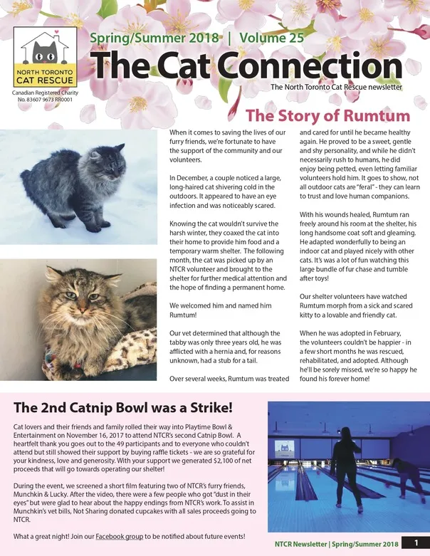 2018 Spring Newsletter