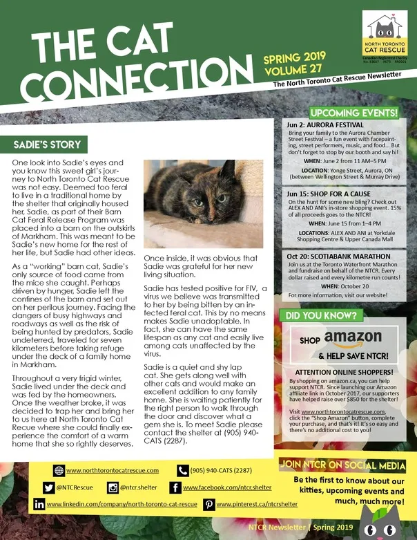 2019 Spring Newsletter