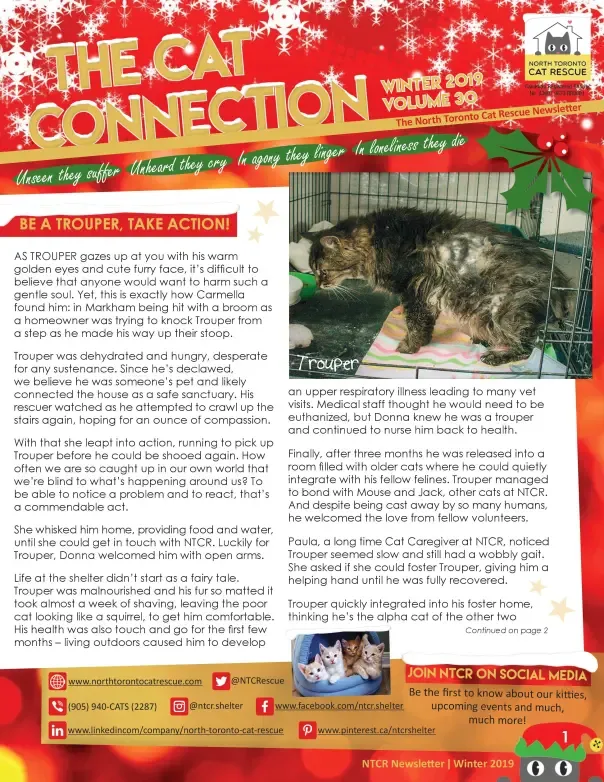 2019 Winter Newsletter