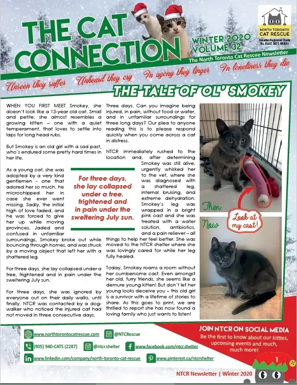 2020 Winter Newsletter