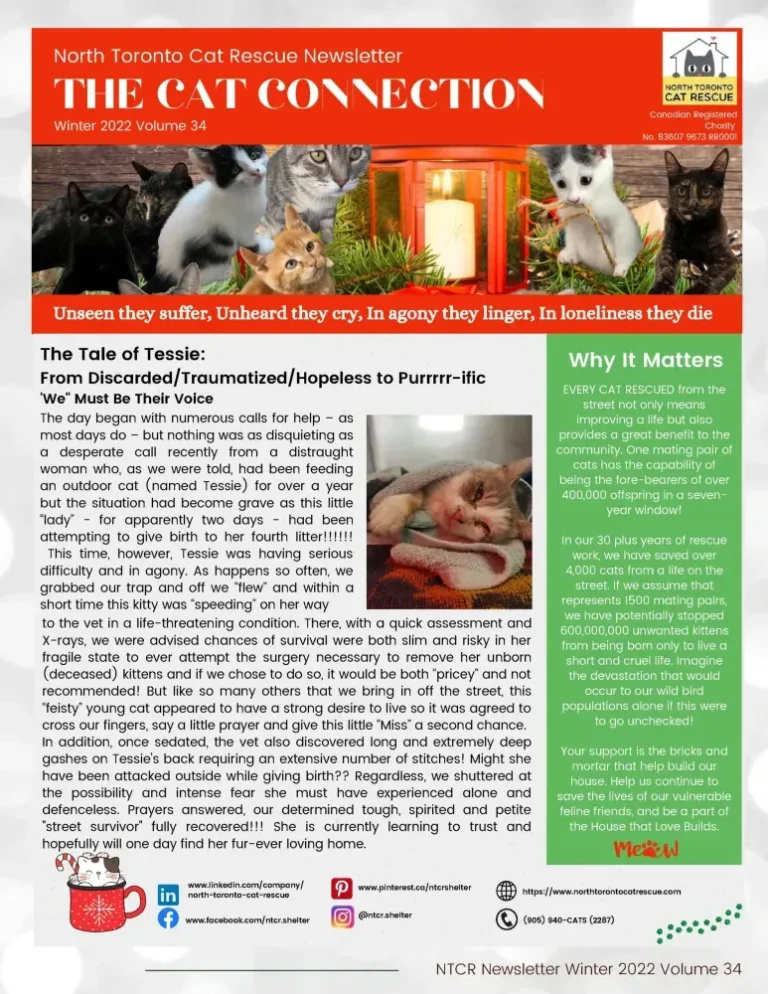 2023 Winter Newsletter