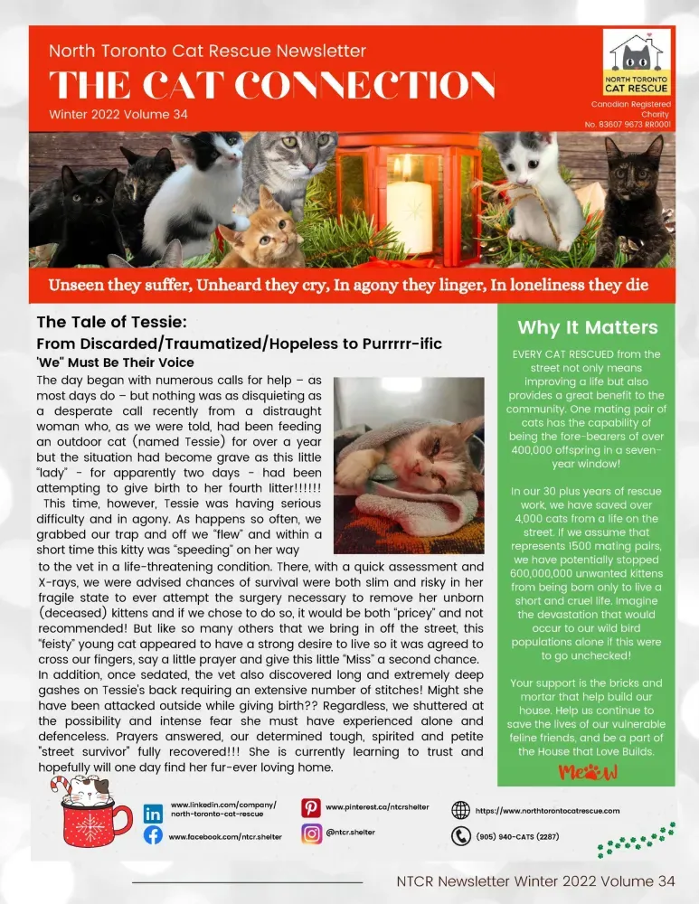 2023 Winter Newsletter