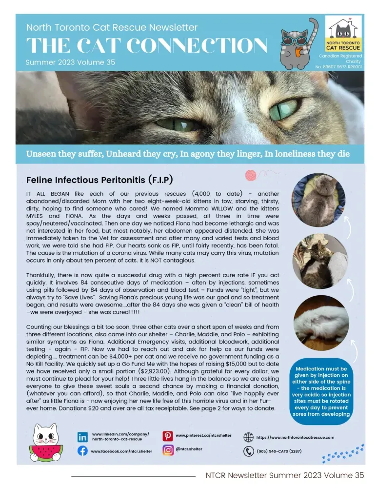 2023 Summer Newsletter