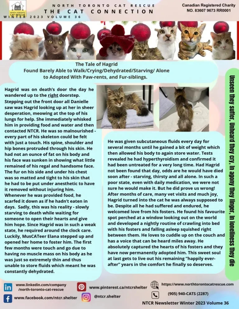 2023 Winter Newsletter