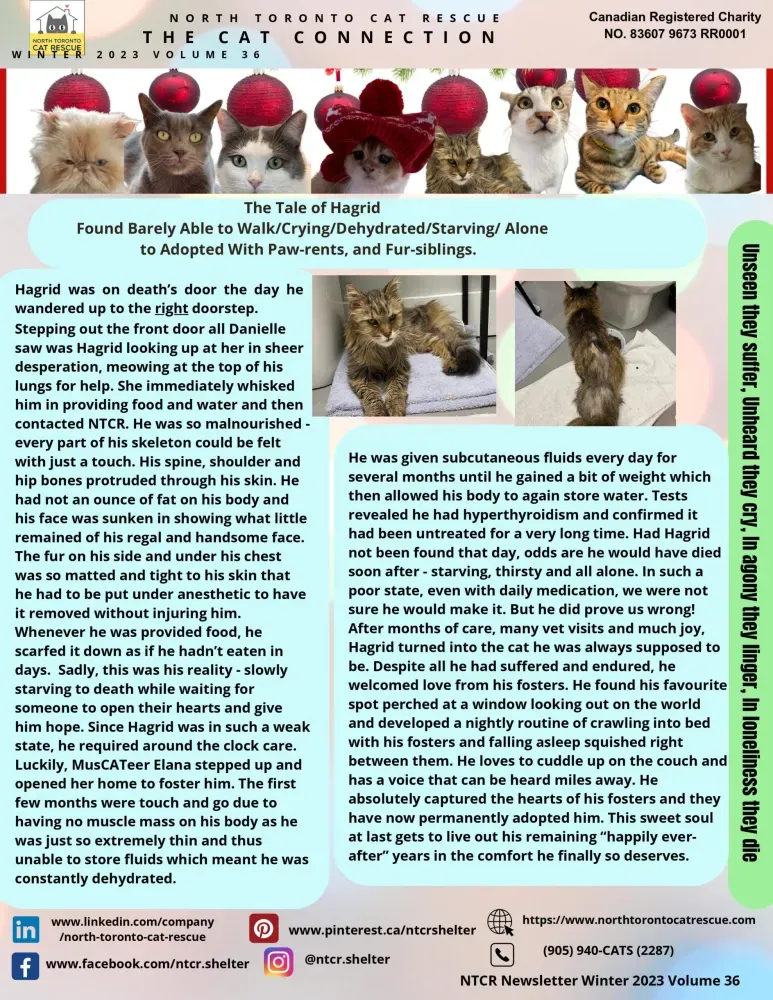 2023 Winter Newsletter