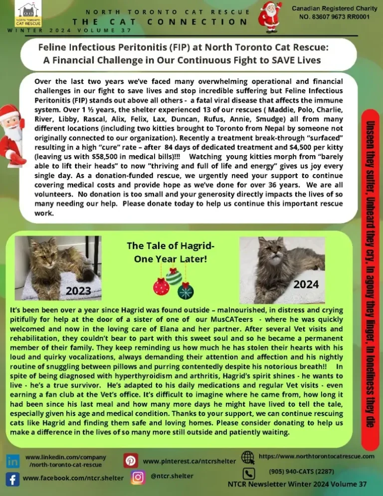 2024 Winter Newsletter