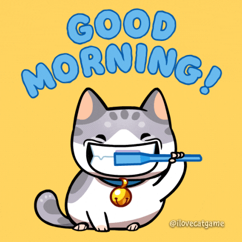 Gingivitis in Cats